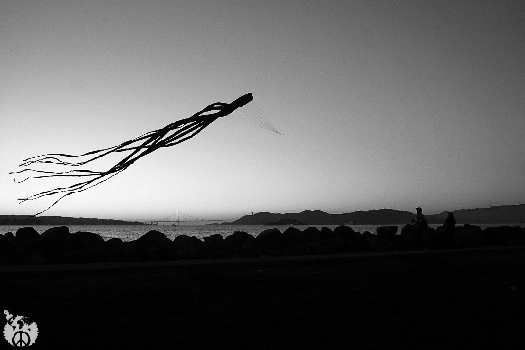 Treasure Island 2023