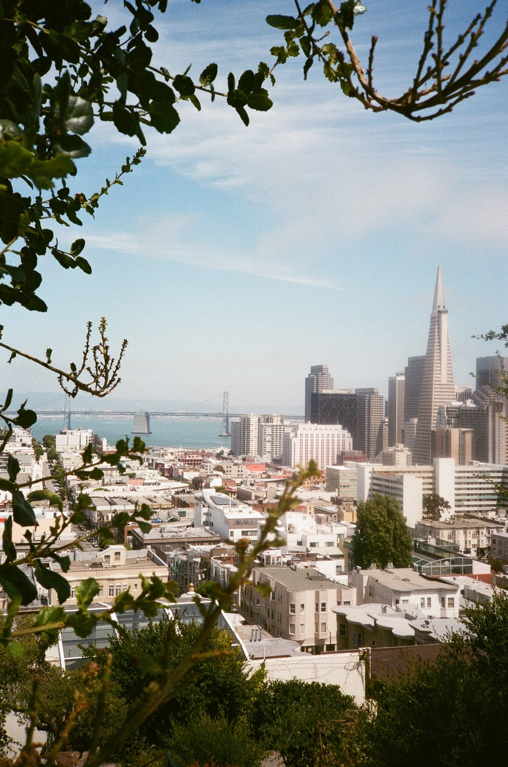 SF I Love You