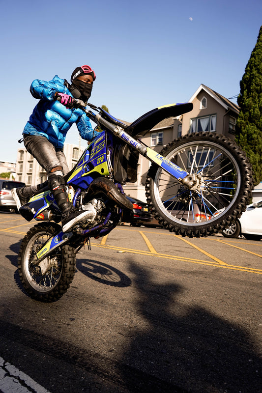 The Thrill Of Living 1 Print