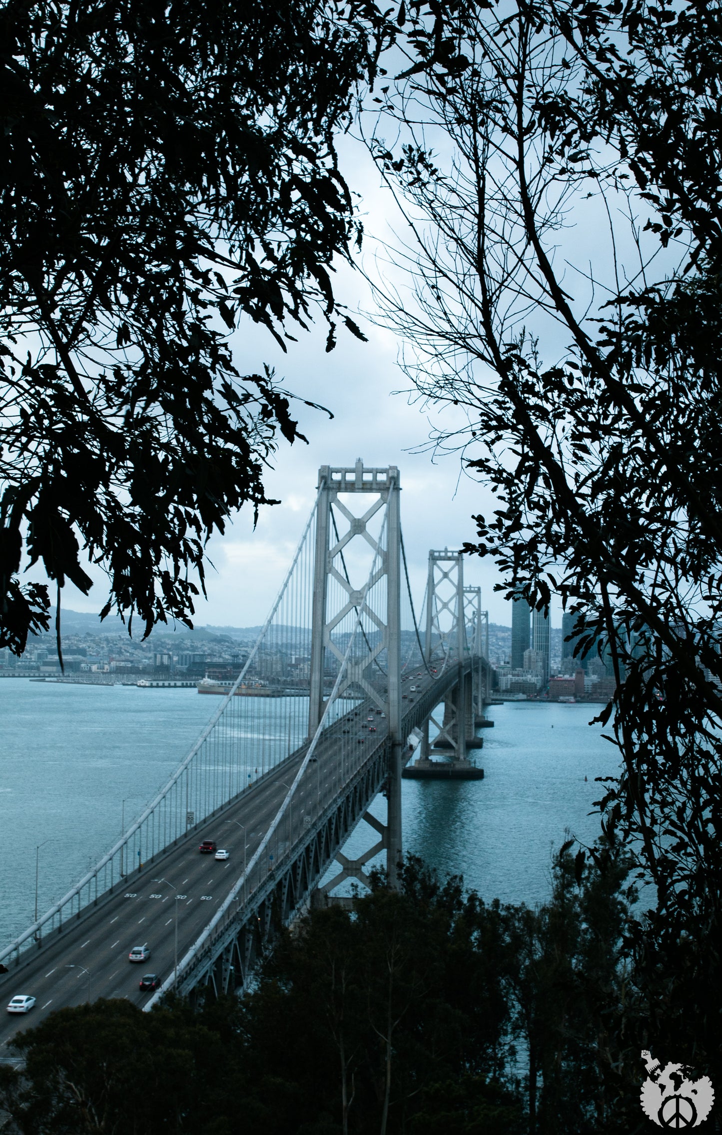 Bay Bridge in the cut