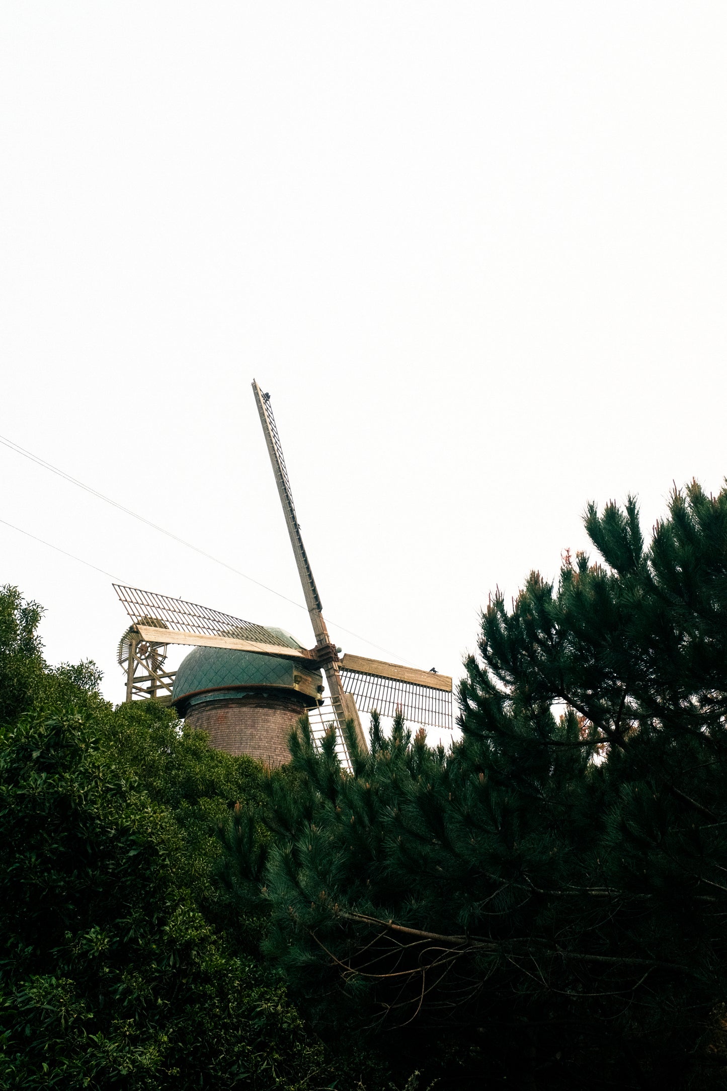 Golden Gate Park 2025