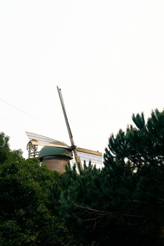 Golden Gate Park 2025