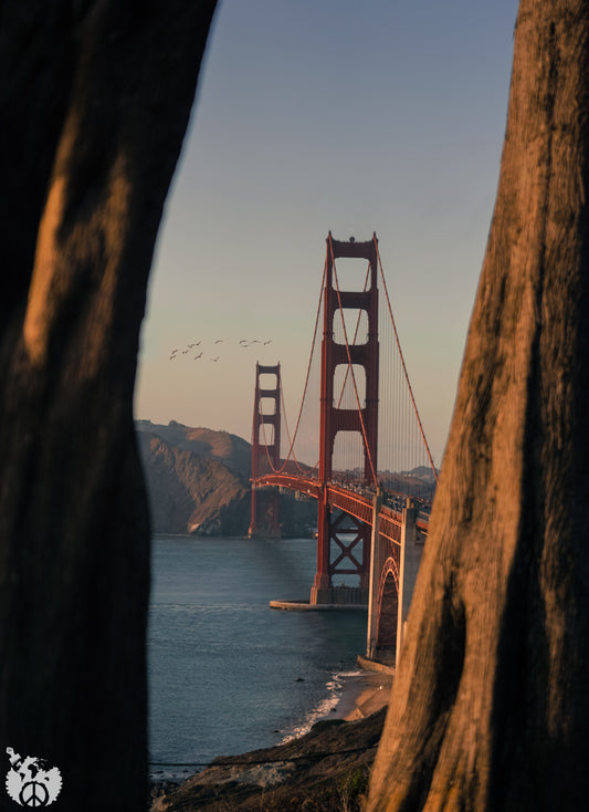 Sunsets with the Golden Gate